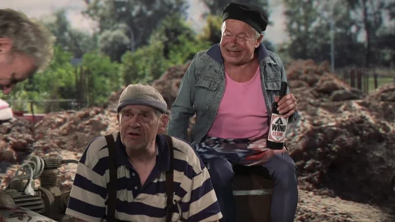 Podziały plemienne